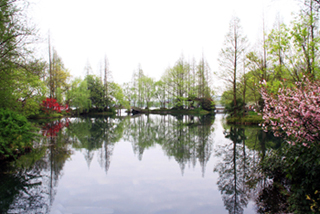 4 Days Hangzhou Wuzhen Tour