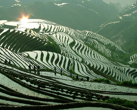 3 Day Hong Kong, Guilin, Yangshuo, Longsheng Tour