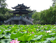 2 Day Essence of Hangzhou Tour