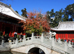 Fragrant Hills Fragrant Hills Park Beijing Xiangshan Park Guide