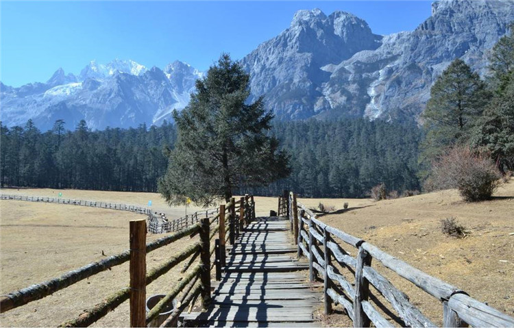 Spruce Meadow Lijiang Lijiang Attraction