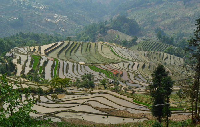 yuanyang terrace agriculture