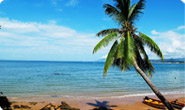 sanya city tours