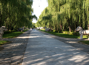 Forbidden City