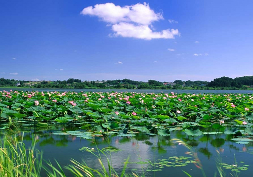 A glimpse of Dongping Lake, Tai'an, Shandong