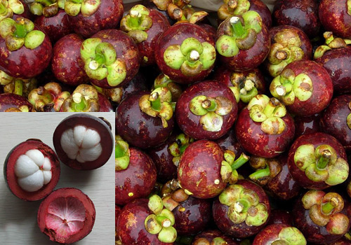 Six Popular Fruits In South China China Travel Blog China Blog