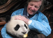 Our guest hoding the panda at Chengdu